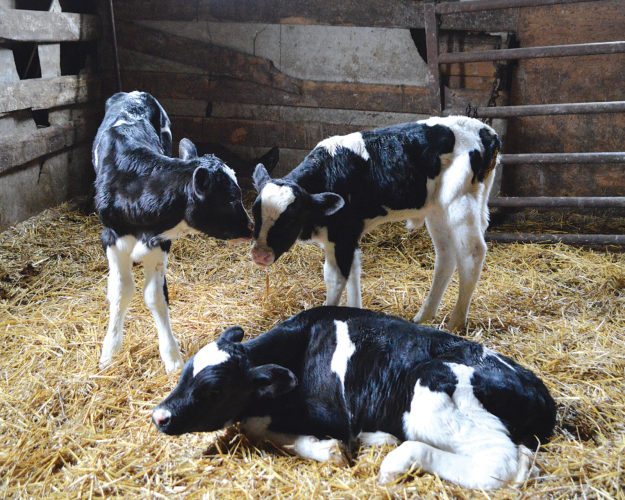 Good things come in threes